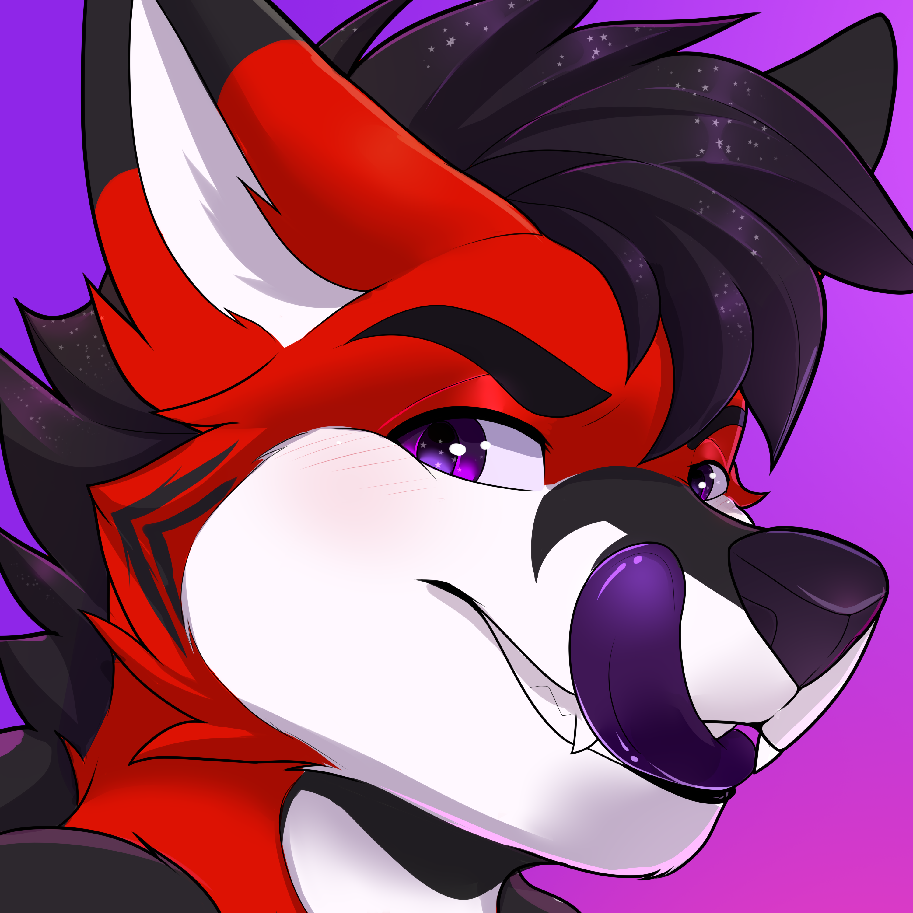Avatar for Donco