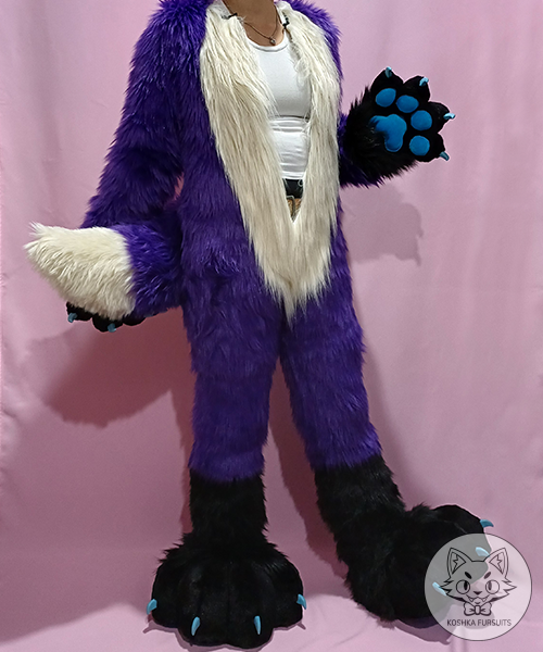 Body Plantigrade Image