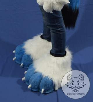 Feet Paws Image