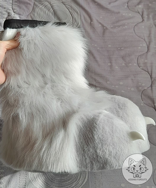 Feet Paws Image