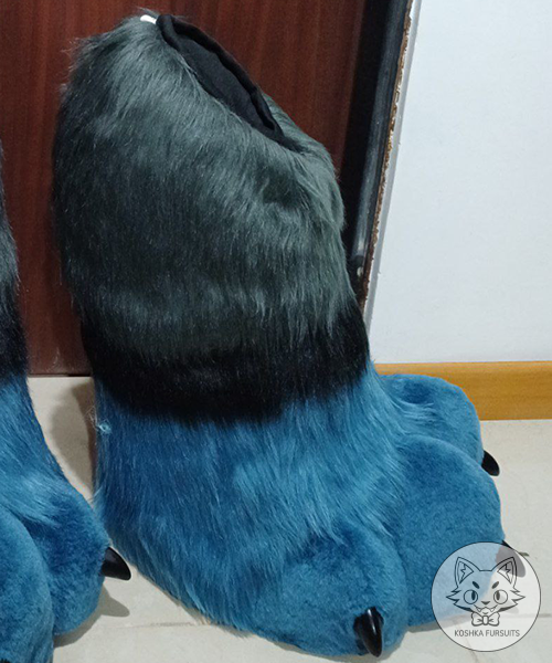 Feet Paws Image