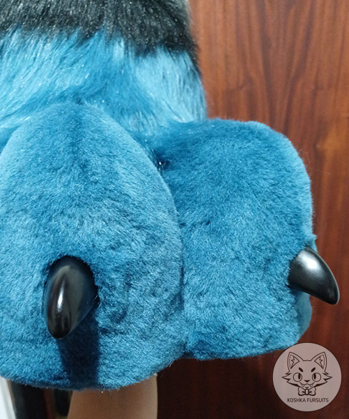 Feet Paws Image
