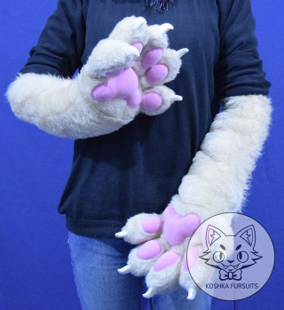 Hand Paws Image