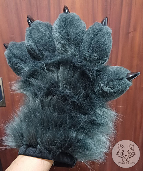 Hand Paws Image