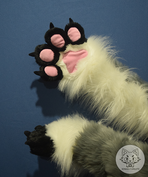 Hand Paws Image