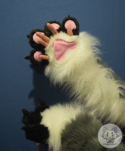 Hand Paws Image