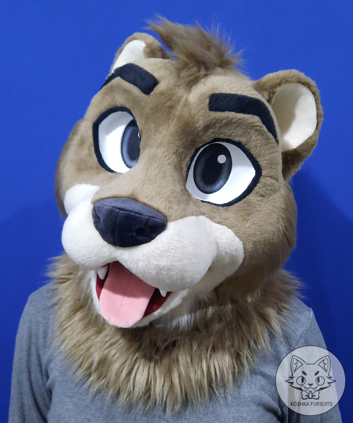 Head Image