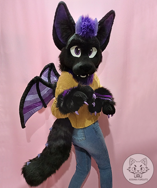 Mini Partial Image