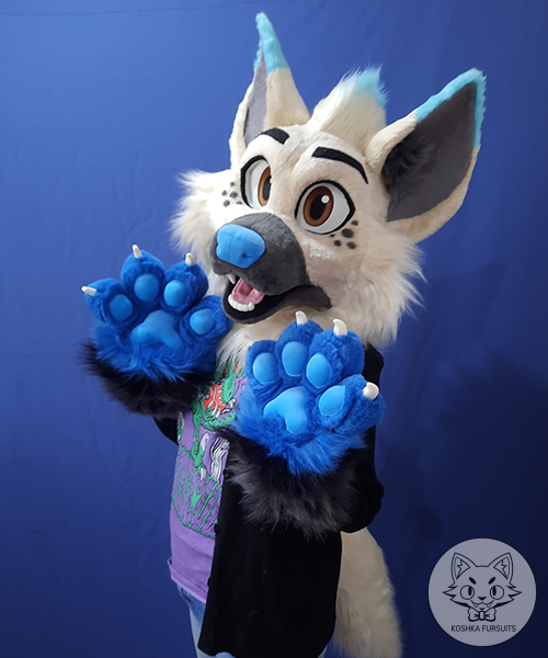 Mini Partial Image