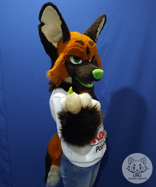 Mini Partial Image