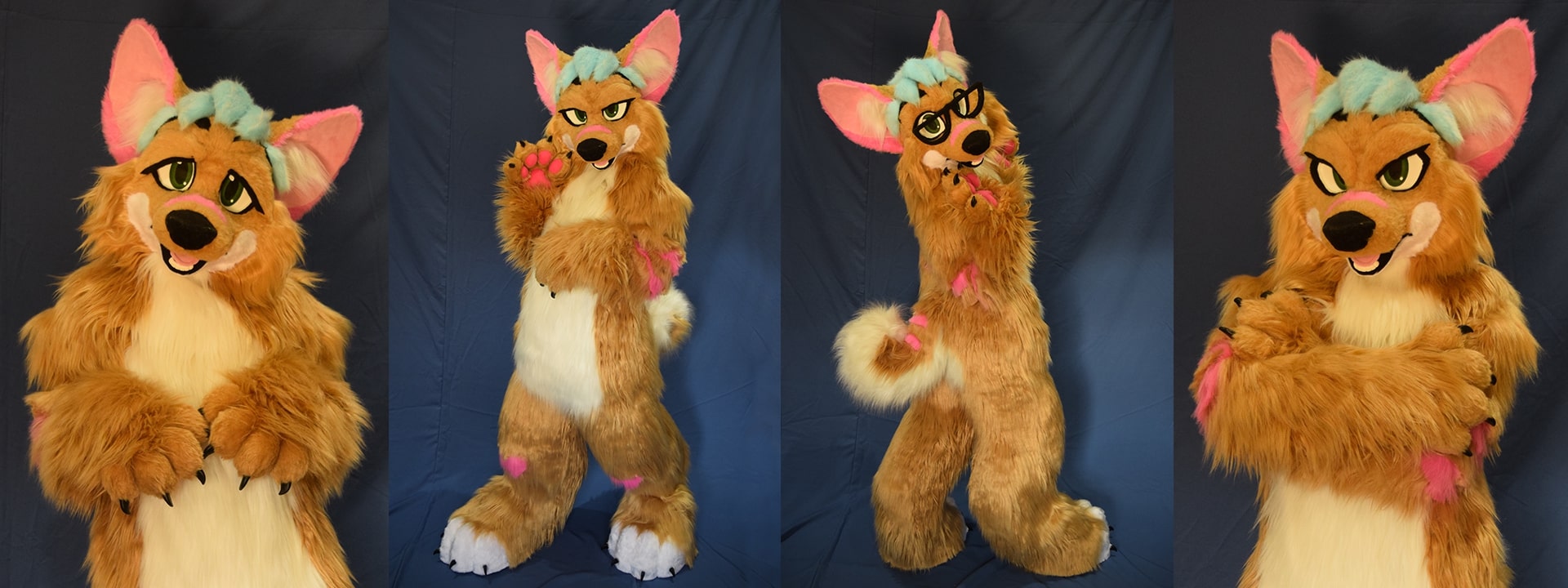 Fursuit Mifanwy